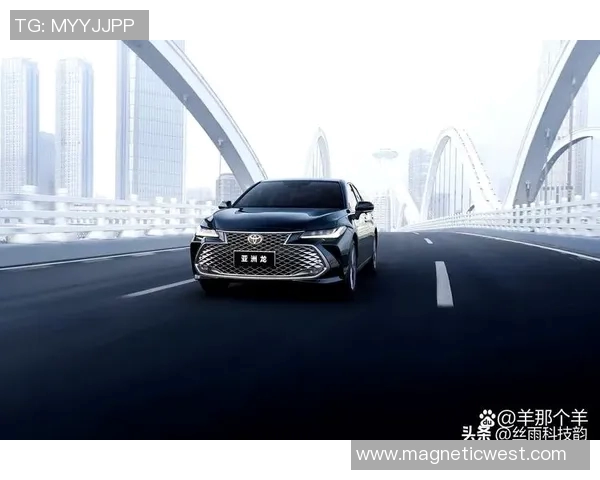 北京乒乓球队在洲际杯积分榜上以81分稳居第一名展现强劲实力