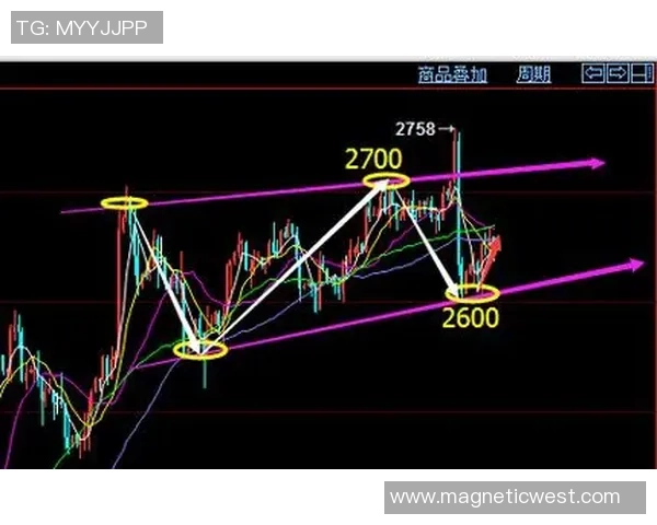 独家分析：杭州排球队的耐力对比