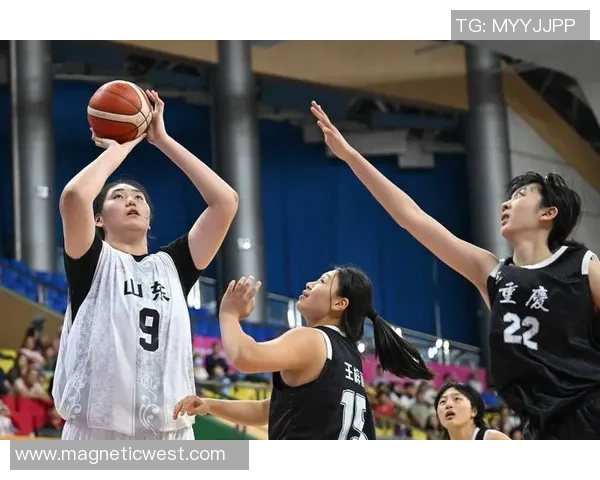 聚焦篮球：重庆篮球队的力量话题