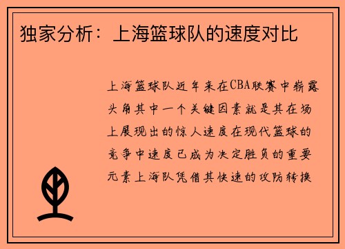 独家分析：上海篮球队的速度对比