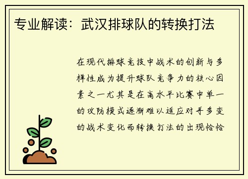 专业解读：武汉排球队的转换打法