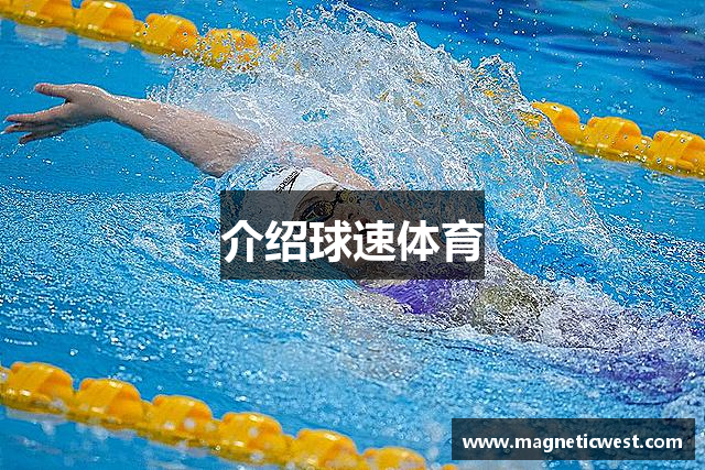 介绍球速体育